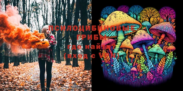 PSILOCYBIN Бородино