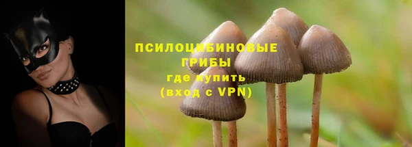 PSILOCYBIN Бородино
