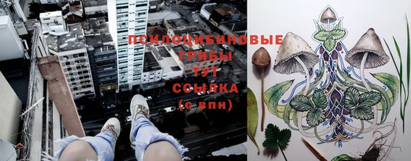 молекула духа Белоозёрский