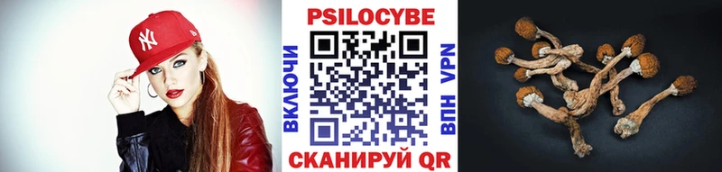 Псилоцибиновые грибы мицелий  Улан-Удэ 