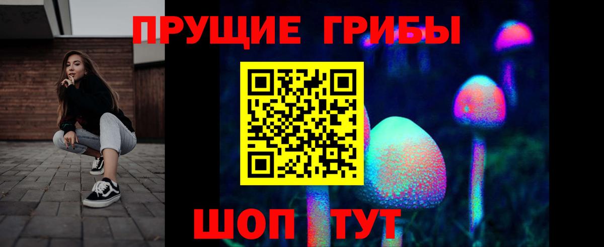 Псилоцибиновые грибы GOLDEN TEACHER Улан-Удэ